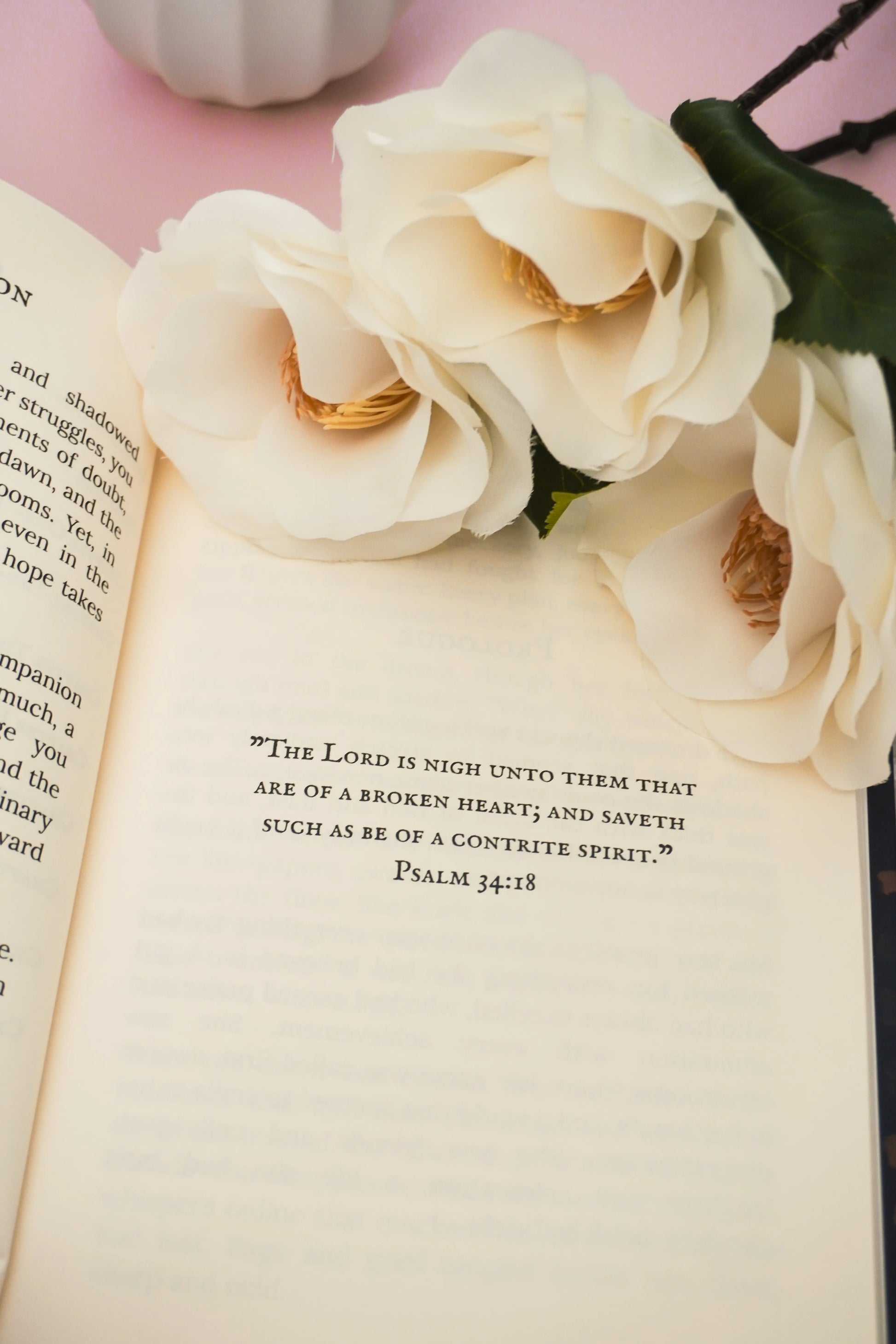 The Well At Midnight Book